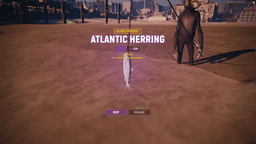 Fishing Sim media 5
